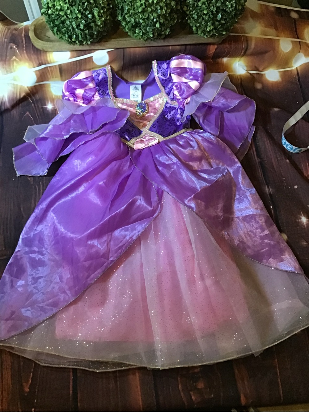 Disney parks Rapunzel costume girls size dress size 5/6